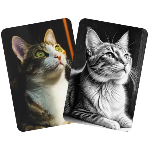 Turn Your Photos into Sketch in Seconds