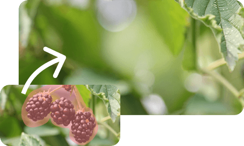 Remove Unwanted Object from Background