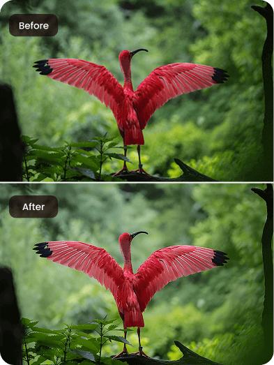 Transform Low-Resolution PNGs to High-Definition in Seconds