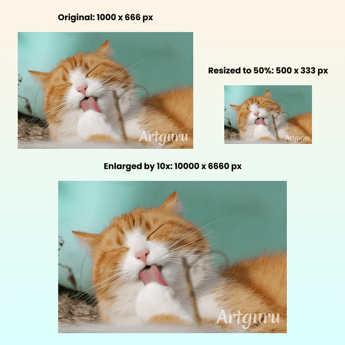 The results of resizing with GIMP