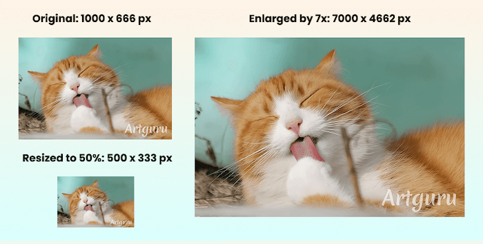 The results of resizing with SimpleImageResizer