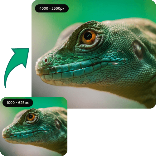 Increase Pixels in Your Photos for Better Detail