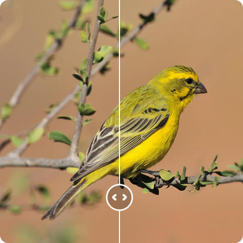 powerful 8K image upscaler