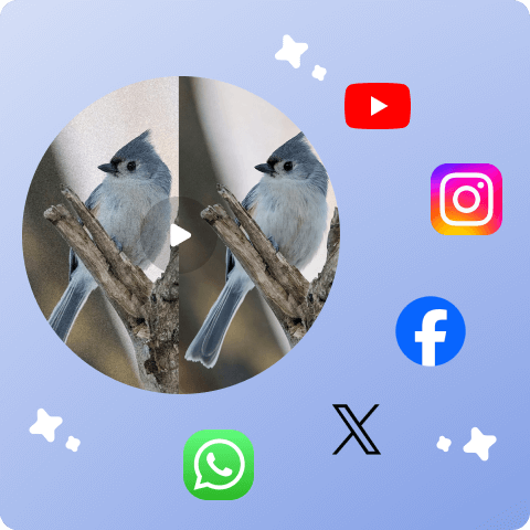 Remove Pixels From Videos For Your Social Media