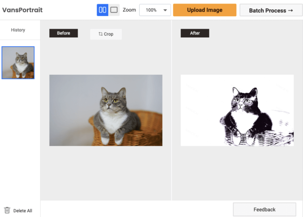 convertir foto en dibujo